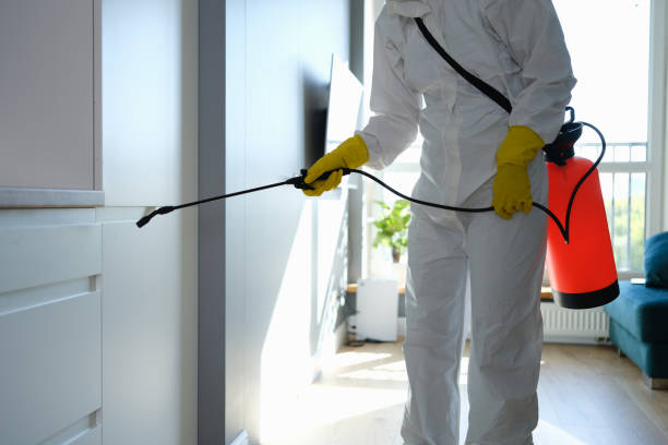 Best Mold Removal Specialists  in Logan, WV