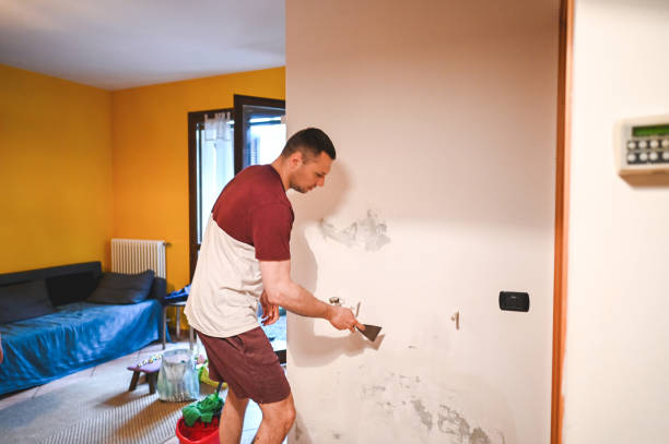 Best Black Mold Removal  in Logan, WV